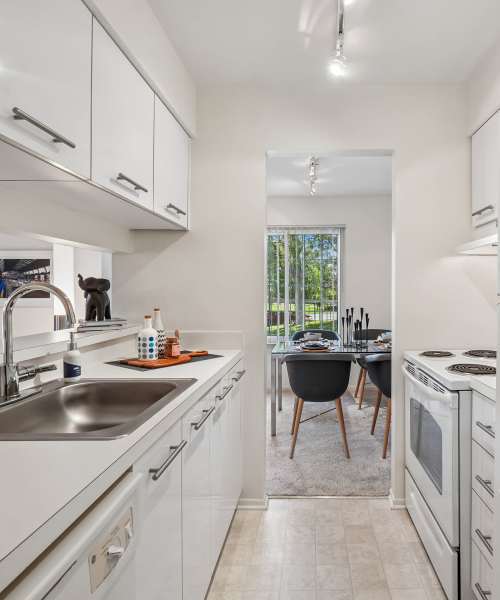 Fully equipped kitchen with double stainless-steel sink at Saddle Creek Apartments in Novi, Michigan