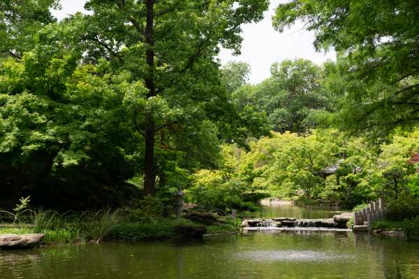 Botanic gardens near Lauren in Fort Worth, Texas