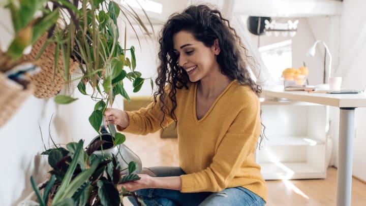 woman arranging houseplants in her apartment | Houseplants for apartments