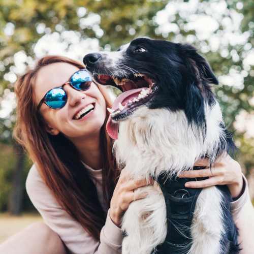 Happy dog getting some ear love at Aspire Katy in Katy, Texas