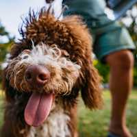 Cute pet posing for a photo outside her apartment at Green|House Columbus in Columbus, Ohio
