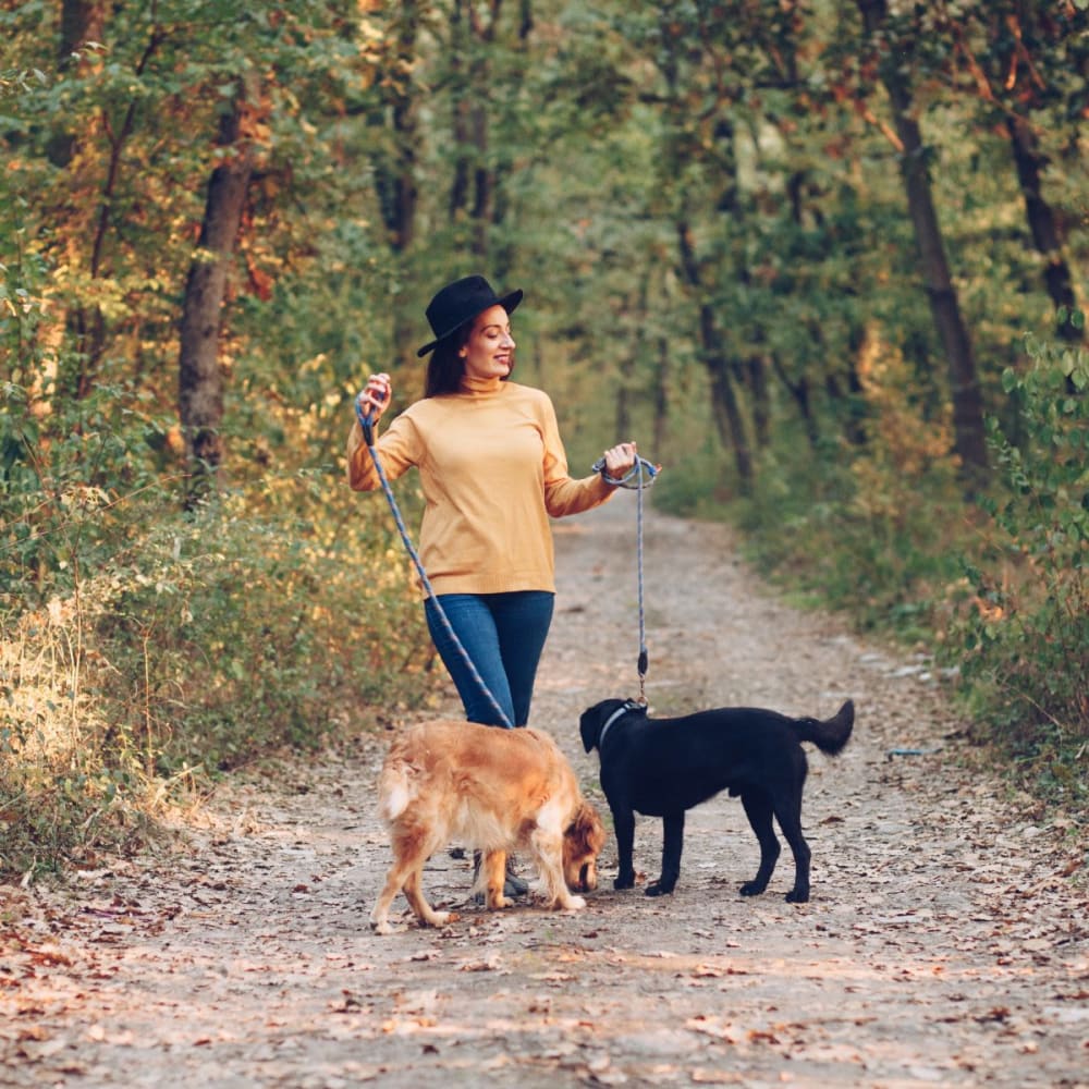 A resident walking dogs on a trail near The Legends on the Park in Eureka, Missouri