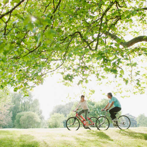 Residents biking in a park near Artisan Living Mills River in Mills River, North Carolina