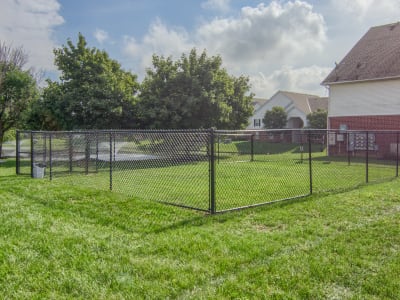 Mother and kids with their dog at Gateway Lakes Apartments in Grove City, Ohio