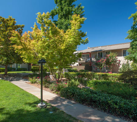 Apartment walkway surrounded by a lush landscape at Flora Condominium Rentals in Walnut Creek, California