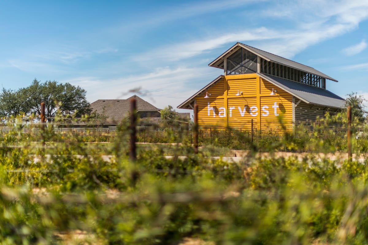 Enjoy our homes for rent at BB Living Harvest in Argyle, Texas