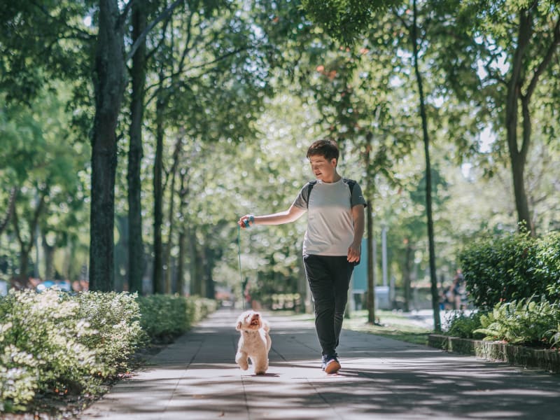 A man walking his dog through a park near Stonecreek Club in Germantown, Maryland