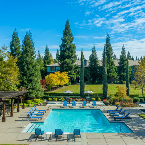 Pool at Meridian at Stanford Ranch in Rocklin, California