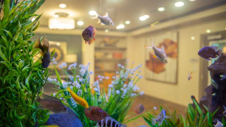 Welcome to The Landing at Watercrest Shadow Creek Ranch, where assisted living and memory care provide comfort, care, and community.