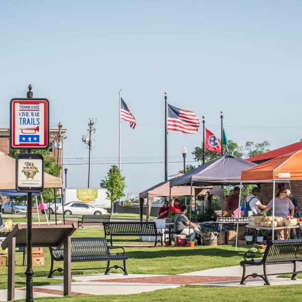 View neighborhood info at Davis Park in Smyrna, Tennessee