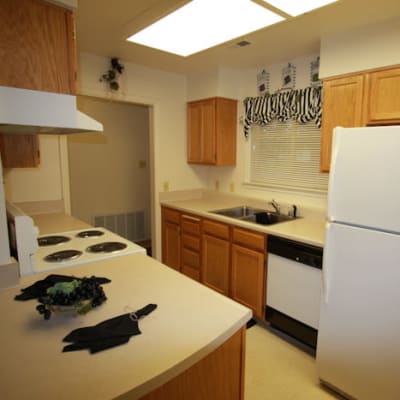 White cabinets in a kitchen at New Hillside in Joint Base Lewis McChord, Washington