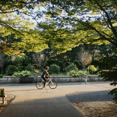 Biking in a park near Koz on 4th in Portland, Oregon