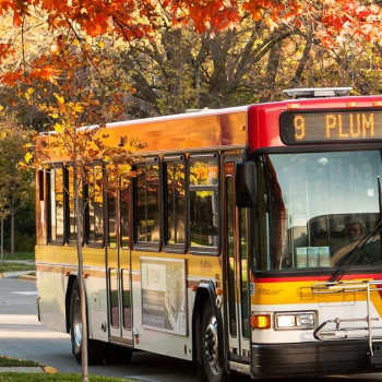 CyRide bus stop near South Oak in Ames, Iowa