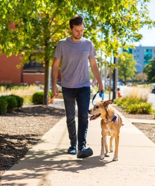 Neighborhood at Oaks On Bonhomme in University City, Missouri
