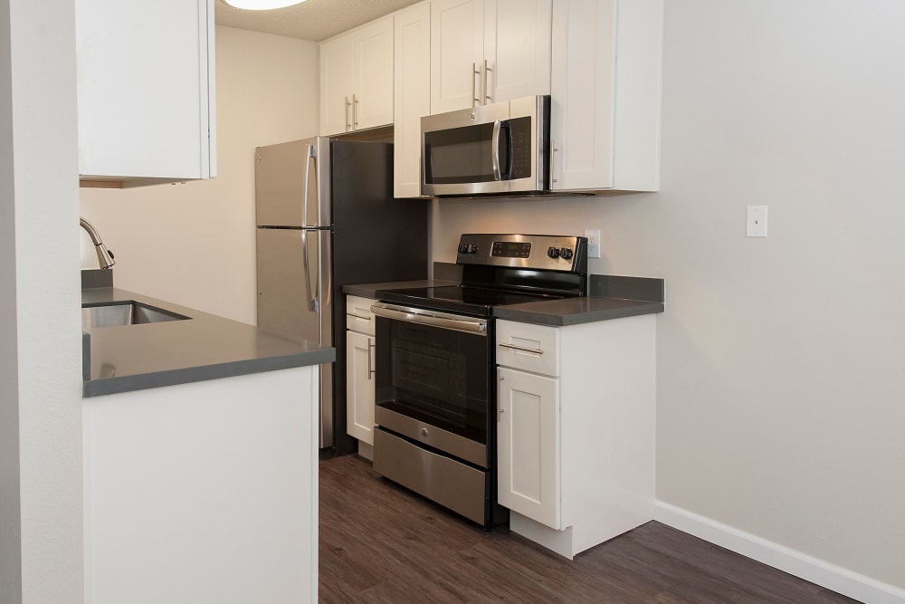 Apartment kitchen with stainless-steel appliances at Regency Plaza Apartment Homes in Martinez, California