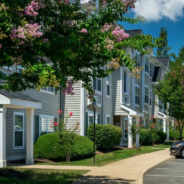 Apartments at Arbor Grove, Stafford, Virginia