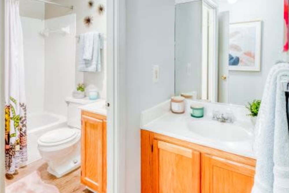 Bathroom at The Timbers at Long Reach Apartments in Columbia , Maryland
