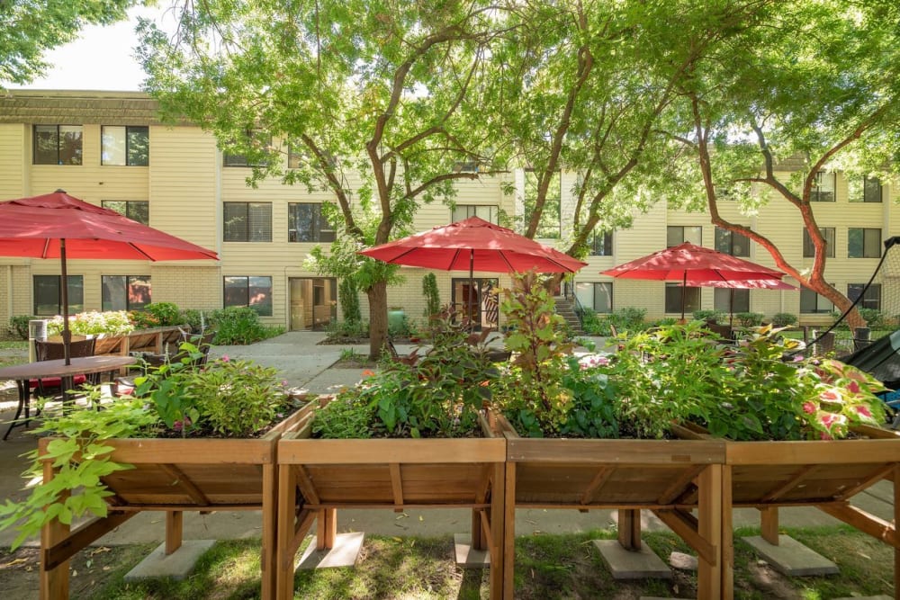 Resident Garden at Campus Commons Senior Living in Sacramento, California