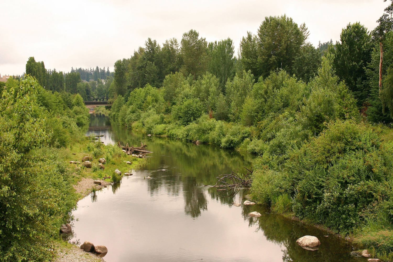 River with trees near Redmond Place Apartments in Redmond, Washington