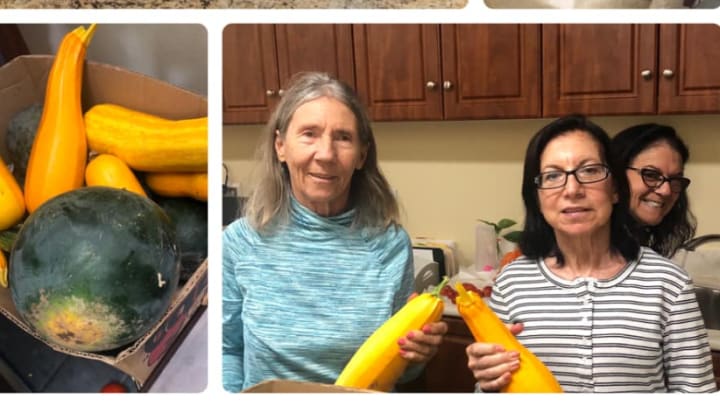 Squash harvest from the garden at {{location_name}} in {{ location_city}}, {{location_state_name}}