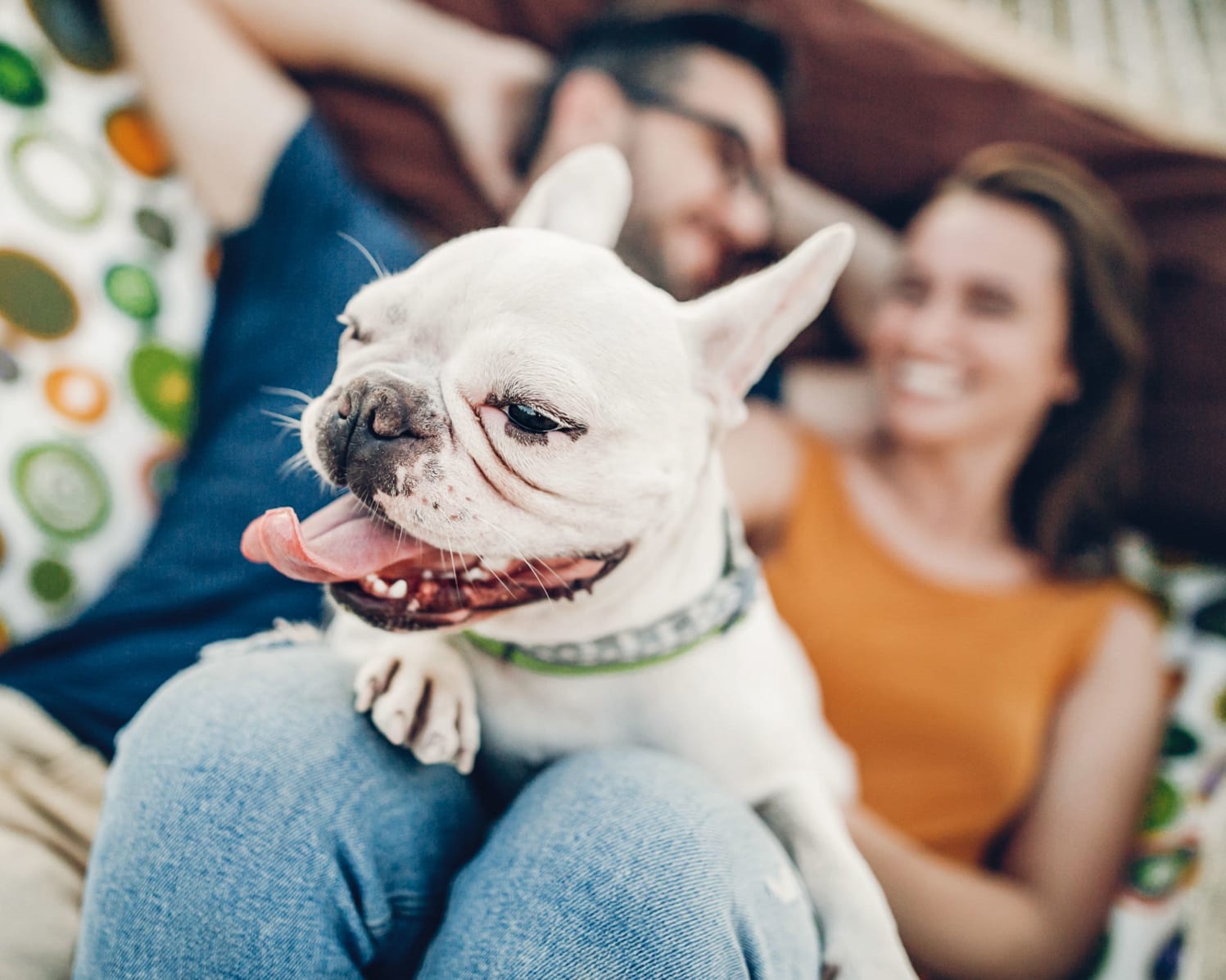 Owners with their pup at The Reserve at White Oak in Baton Rouge, Louisiana