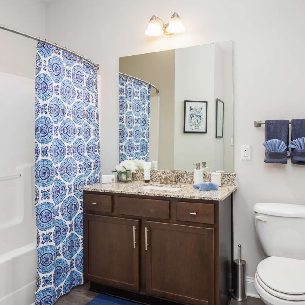 Bathroom With Shower Curtain And Vanity  at Retreat at the Park in Burlington, North Carolina