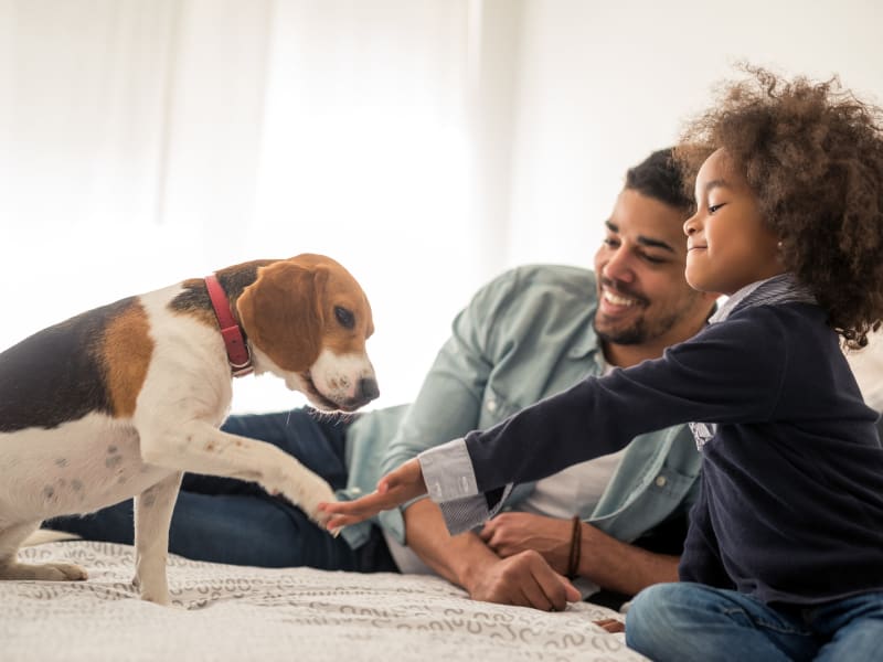 A man and his child laying down with their dog at Chace Lake Villas in Birmingham, Alabama