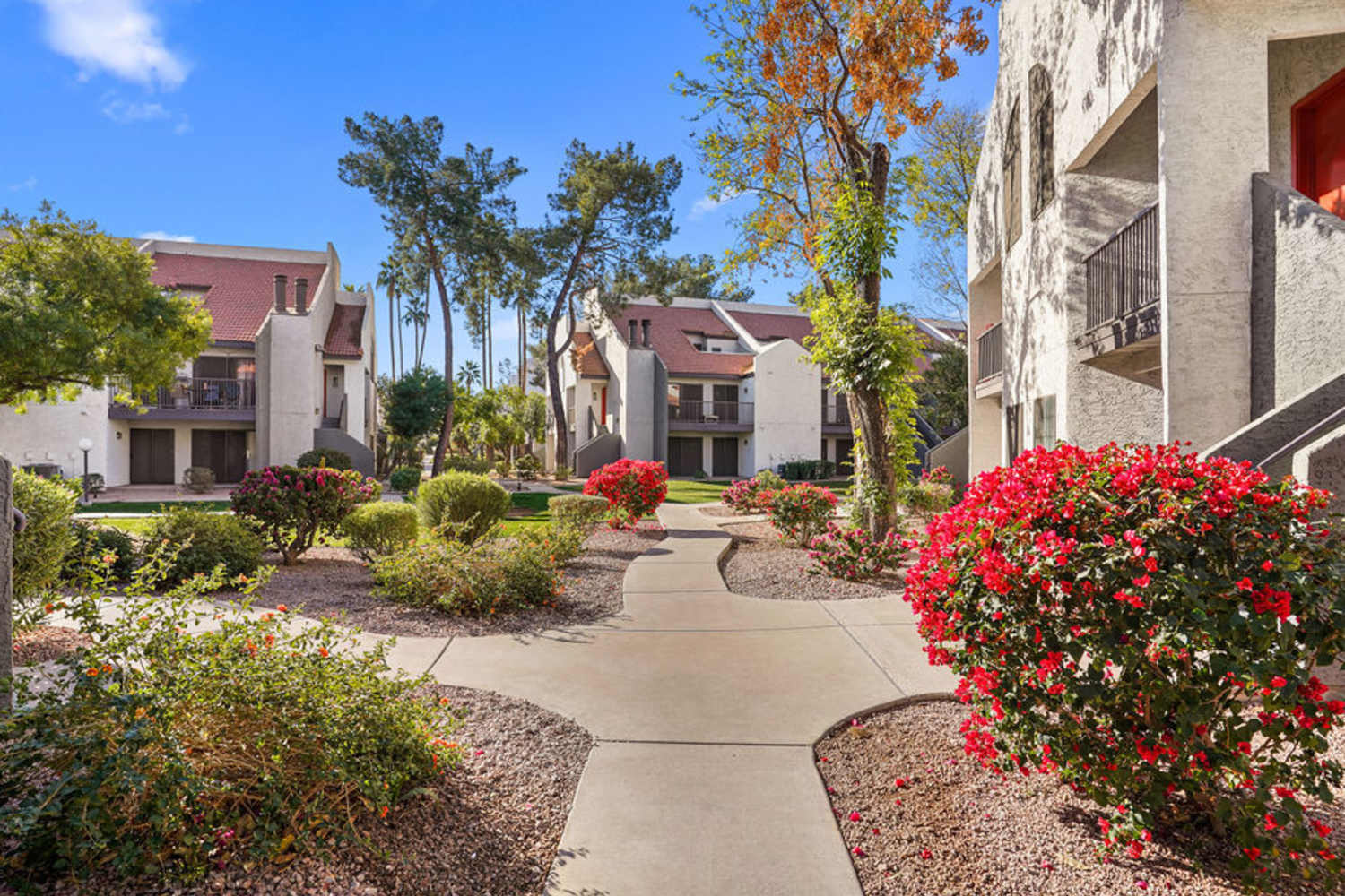 branching pathway at Waterford Place Apartments in Mesa, Arizona