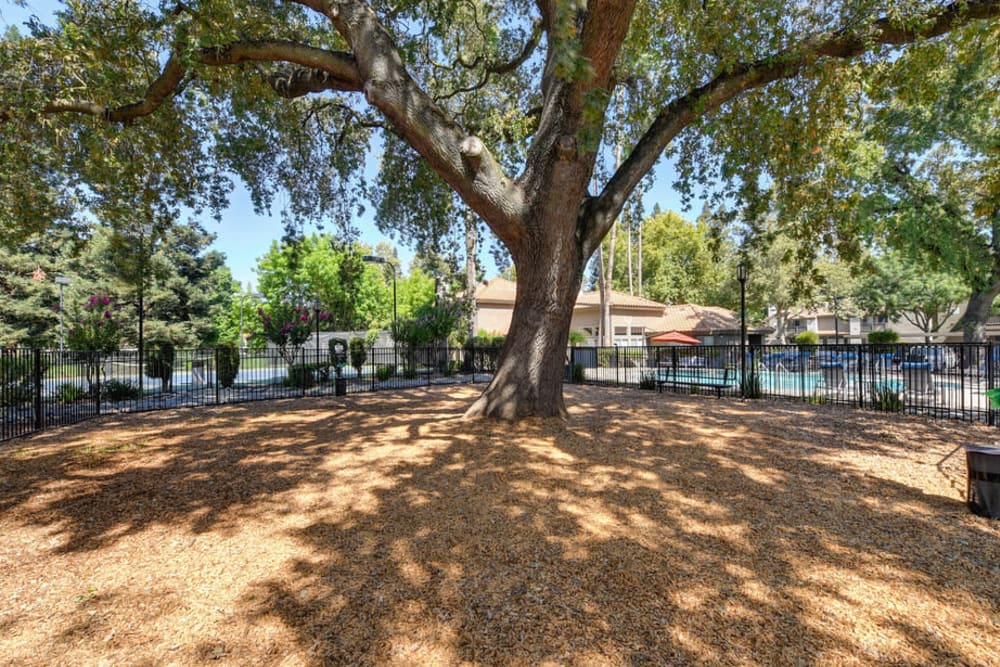 Private room for watching games or movies at Shore Park at Riverlake in Sacramento, California