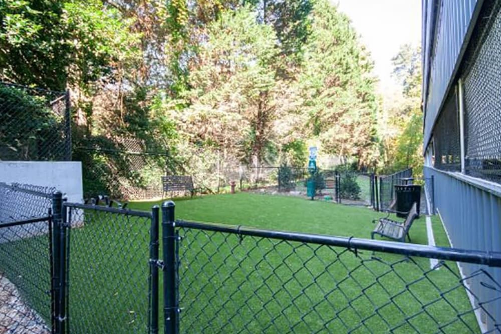 Dog Park at Aster Buckhead in Atlanta, Georgia