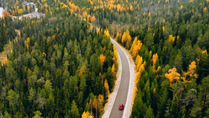 a red car travelling through road tahtsurrounded by a beautiful forest
