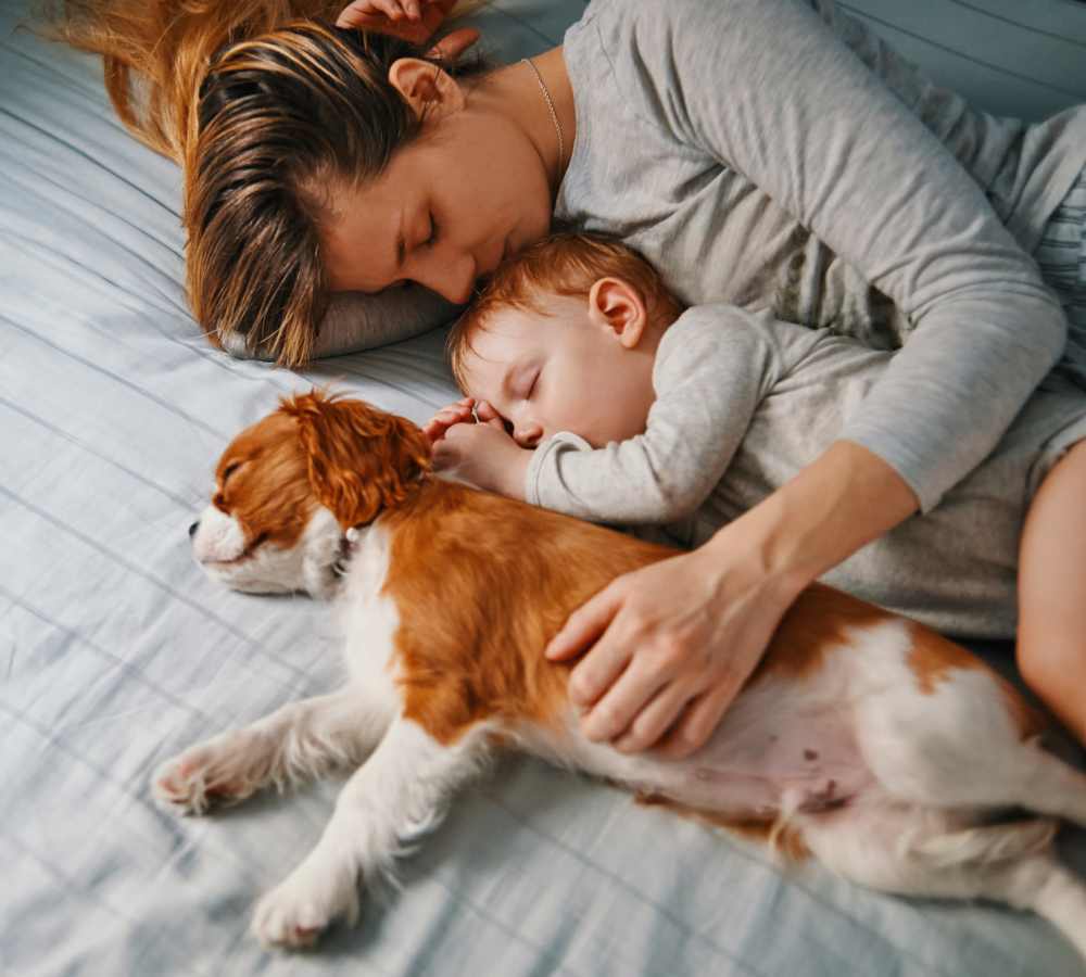 Woman and child sleeping on bed with dog at Avia Lofts at Maple Road in Amherst, New York