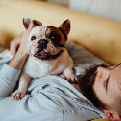 Link to pet policy of Avion Apartments in SeaTac, Washington