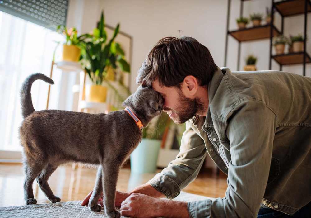 Resident playing with his cat in their pet-friendly home at The Reserve at Kanapaha in Gainesville, Florida