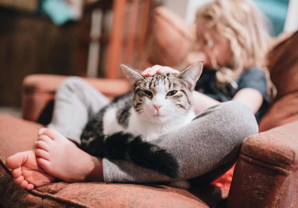 Resident with her cat in a pet-friendly home at Pin Oak Manor Apartments in Mishawaka, Indiana