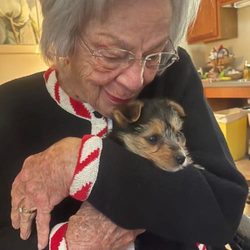 Resident dog at Canoe Brook Assisted Living in Broken Arrow, Oklahoma