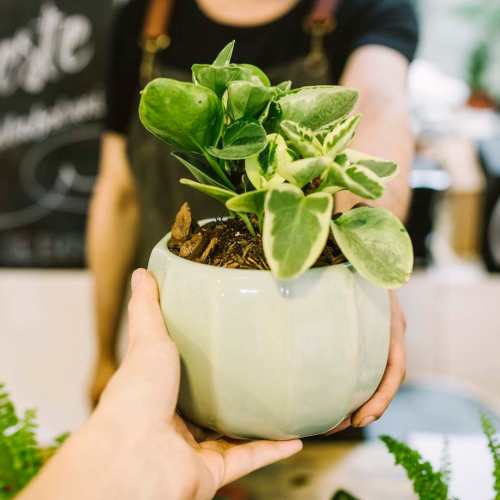 Green Initiatives at Cascade Park in Colorado Springs,Colorado