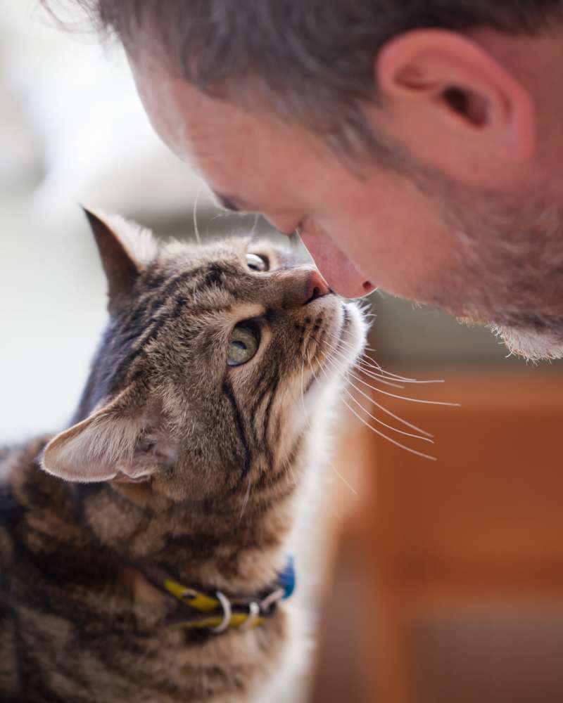 Resident nuzzling his cat in their pet-friendly home at Octave in Davis, California
