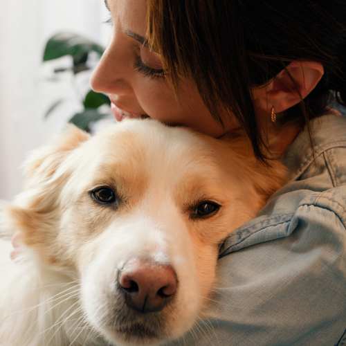 Resident pampering her dog at The Heights at Happy Valley in Happy Valley, Oregon
