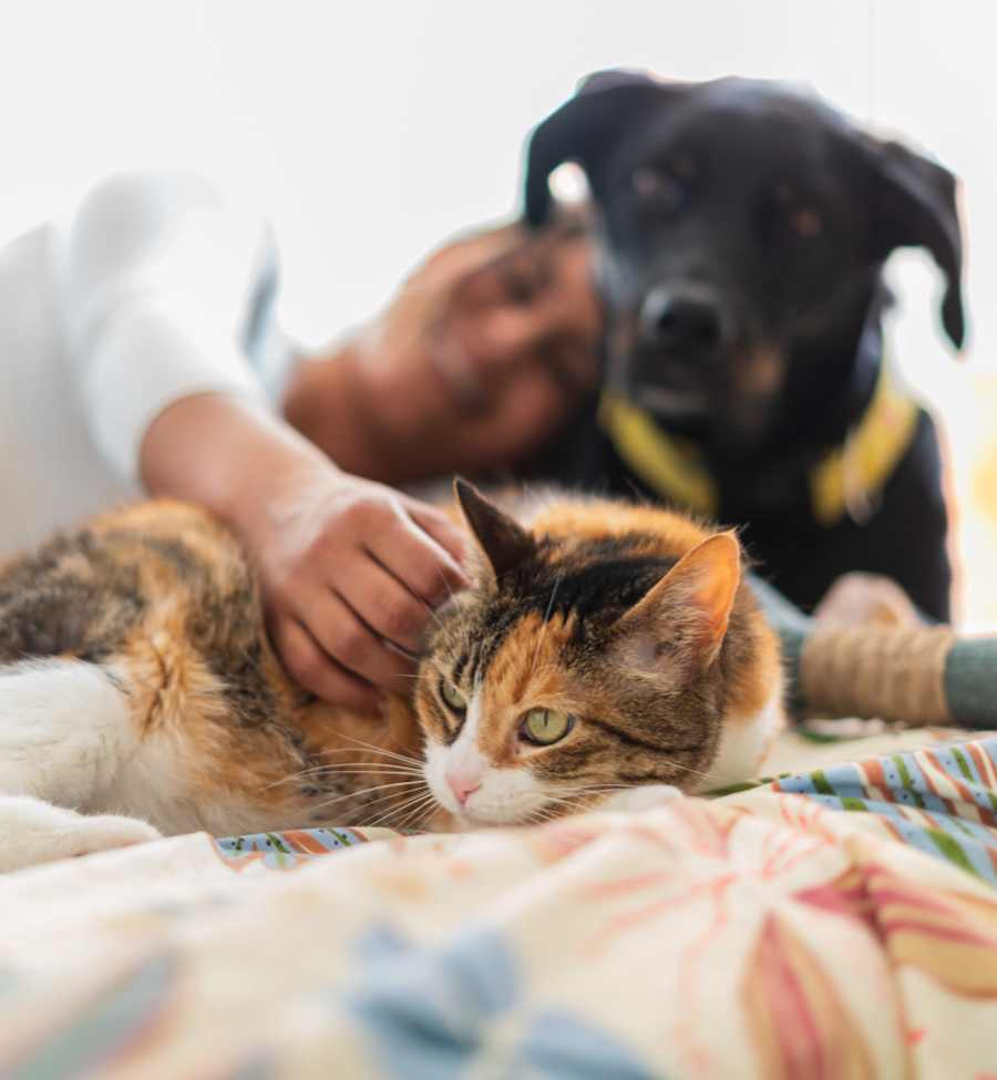 Resident with Pets at Altitude Columbus in Columbus, Ohio