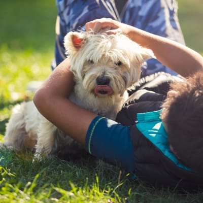 A child playing with a dog at Heroes Manor in Camp Lejeune, North Carolina