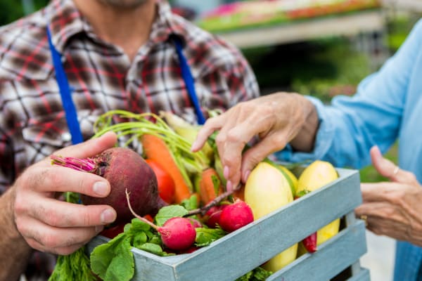 Resident shopping for produce near Palo Alto Plaza in Mountain View, California