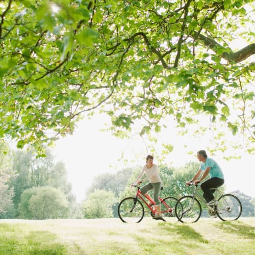 two residents biking together at Bradford Cove in Virginia Beach, Virginia