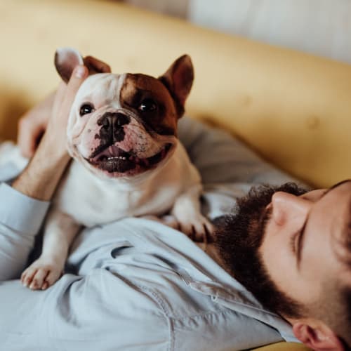 Happy dog and her owner relaxing in their apartment at The Crossing at Palm Aire Apartment Homes in Sarasota, Florida