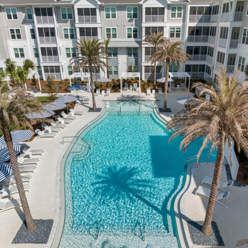 Resort-style swimming pool at Primrose at Santa Rosa Beach in Santa Rosa Beach, Florida
