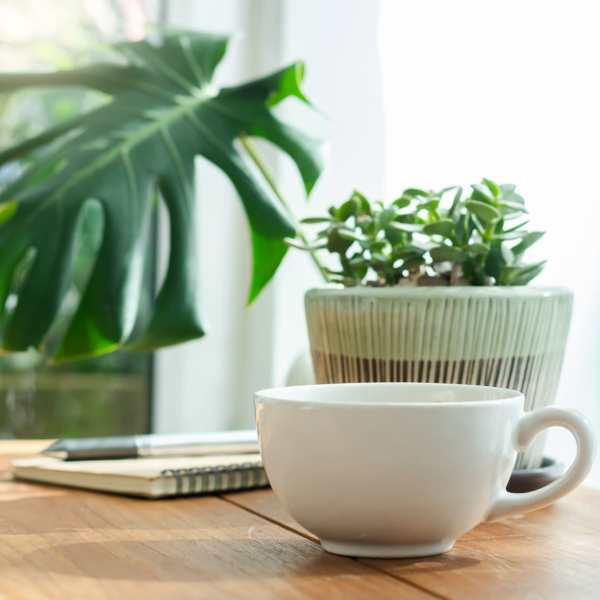 Morning cup of coffee on a table at Arbor Grove, Stafford, Virginia