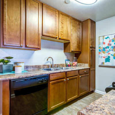 Modern kitchen with sleek black appliances and rich wood cabinetry in a model home at Sofi Poway in Poway, California