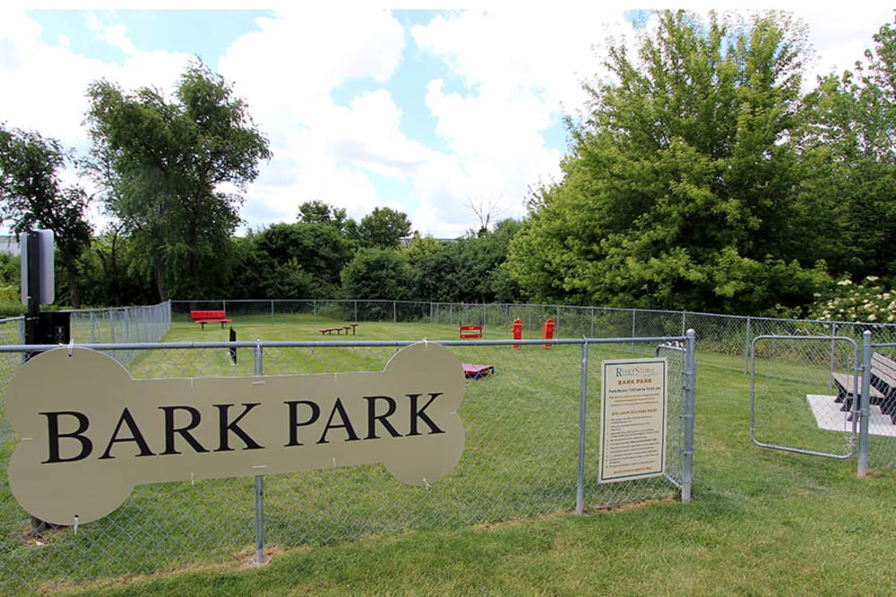 Have fun with your furry friend in the dog park at Riverstone Apartments in Bolingbrook, Illinois