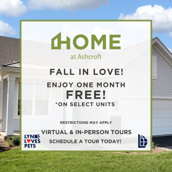 Potranco Commons - Special