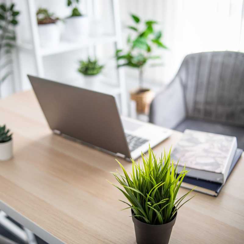 A table with small house plants and a laptop at Attain at Chic’s Beach, Virginia Beach, Virginia